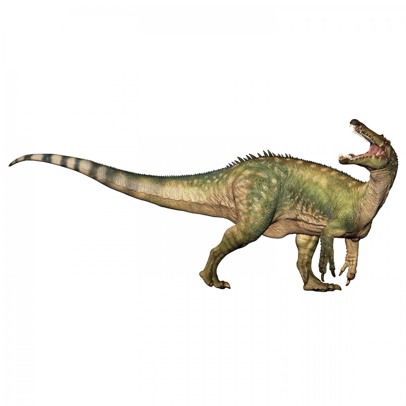 Suchominus
